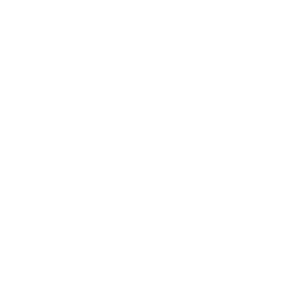 Pure Noise Records